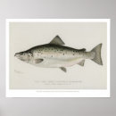 Recherche de vieux marins posters Peinture