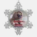 Recherche de froid ornements Drôle