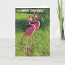 Search for funny flamingo christmas cards Humour
