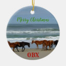 Search for corolla ornaments Outer banks