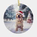 Search for golden retriever ornaments Keepsake