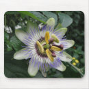 Search for passion mousepads Flora
