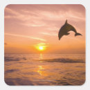 Search for bottlenose dolphin stickers Animal