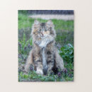 Search for calico cats puzzles Cat lover