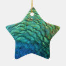 Recherche de paon bleu ornements Animal