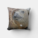 Recherche de phoque coussins Vie marine