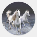 Search for running horse stickers Wild horses
