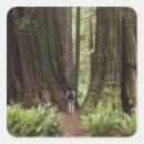 Search for public land stickers Landscape