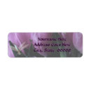 Search for purple tulip return address labels Tulips