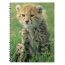 Search for fuzzy notebooks Cute