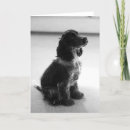 Search for cocker spaniel dog cards Spaniels