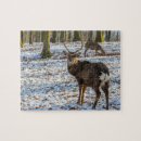 Search for red deer puzzles Stag