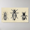 Recherche de abeille vintage posters Sauver les abeilles
