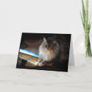 Recherche de cat memorial Dog
