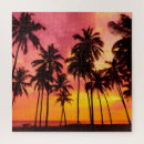 Search for silhouette puzzles Hawaii