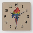 Recherche de perroquet tropical horloges Ara