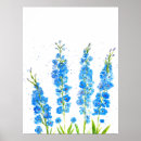 Search for delphinium art Watercolor