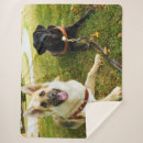 Search for black german shepherd blankets Cute