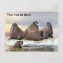 Recherche de faune marine cartes postales Nature