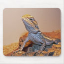 Search for bearded dragon mousepads Pet