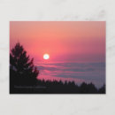 Recherche de arbre de paix cartes postales Paisible