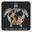Search for sea turtle art stickers Turtles