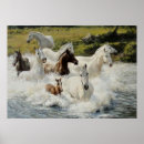 Recherche de troupeau de chevaux posters Courir