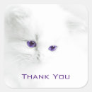 Search for soft purple stickers Thank you