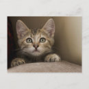 Search for featuring postcards Cute