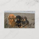 Recherche de doxie cartes visite Chiot