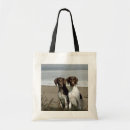 Search for pointer bags Gsp