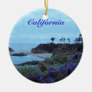 Search for california ornaments Beach