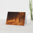 Recherche de cypress tree cartes postales Brouillard