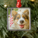 Search for corgi ornaments Cute