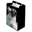 Search for australian gift bags Animal
