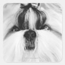 Search for hair bow stickers Dog