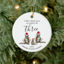 Search for raccoon ornaments Keepsake
