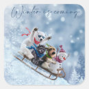 Search for dog sled stickers Snow