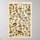 Recherche de adolphe millot posters Illustration