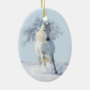 Search for stallion ornaments Snow