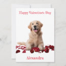 Search for golden retriever valentines day cards Pet