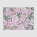 Search for peony tissue paper Rose
