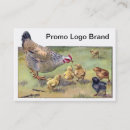 Recherche de poussins cartes visite Volaille