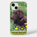 Recherche de labrador retriever iphone coques Extracteur