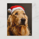 Recherche de golden retriever christmas vœux cartes Fête