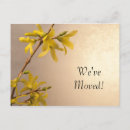 Search for off white cards Floral