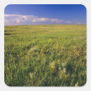 Search for prairie stickers Landscape