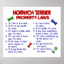 Search for norwich posters Dog