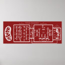 Recherche de mitochondrie posters Biologie