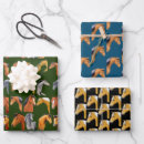 Recherche de chevaux arabes papier cadeau Étalon